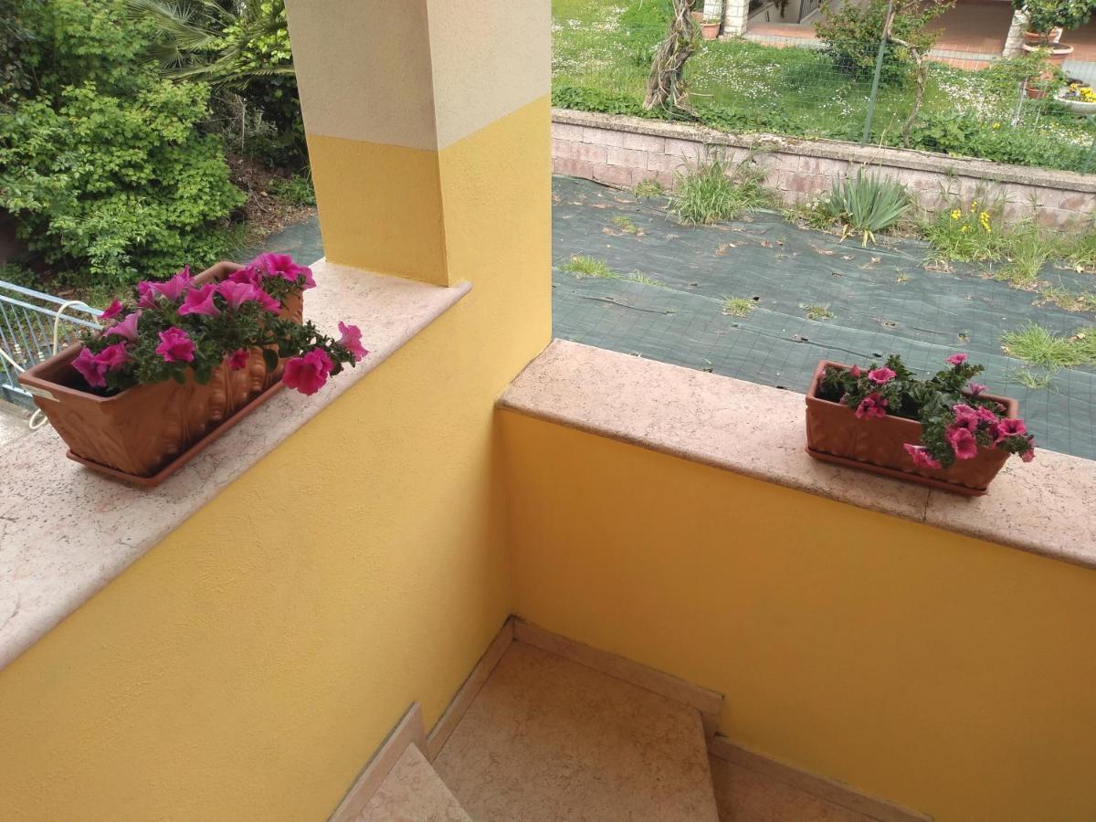 B&B Rosa Dei Venti Orvieto Dış mekan fotoğraf